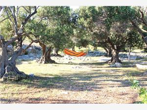 Holiday homes Zadar riviera,BookKornatiFrom 400 €