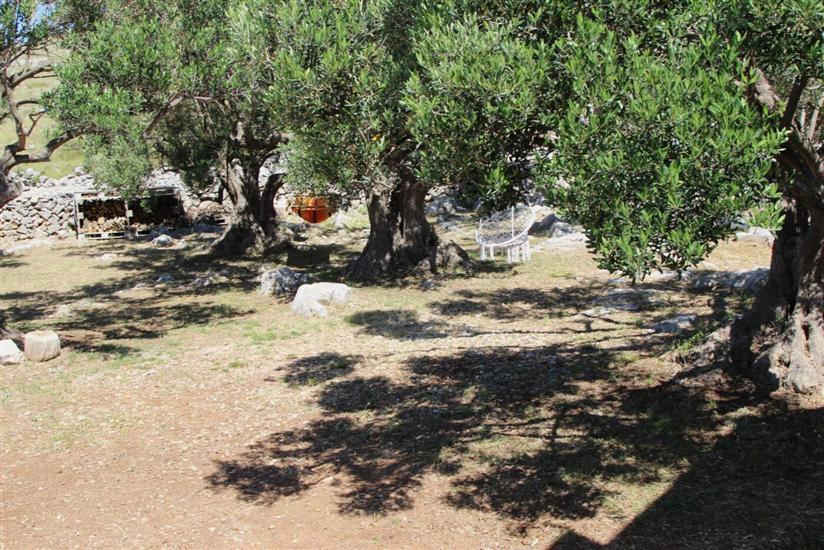 Hiša Lantina Kornati