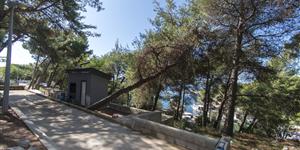 Apartment - Mandre - island Pag