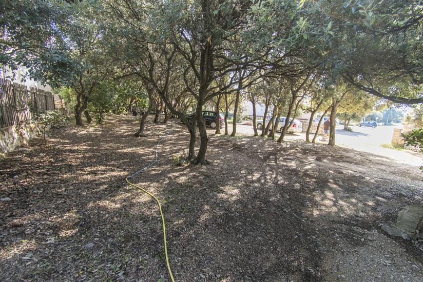 Apartment Family Ribicic