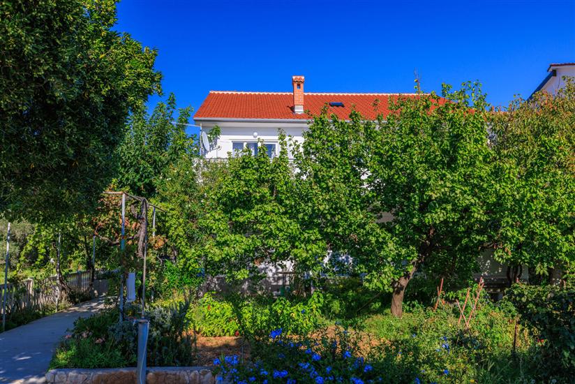 Apartments Ivica