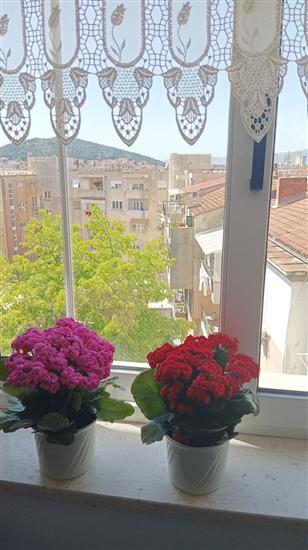 Apartment A1, for 3 persons