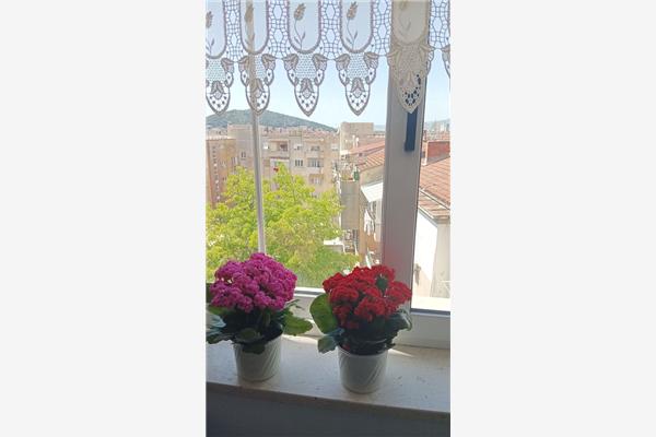 Apartment A1, for 3 persons