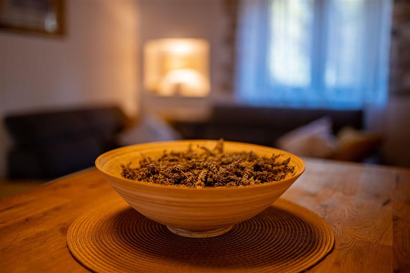 House K1, for 8 persons