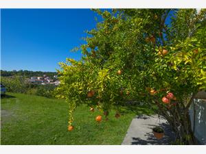 Apartment Kvarners islands,BookRasicFrom 100 €