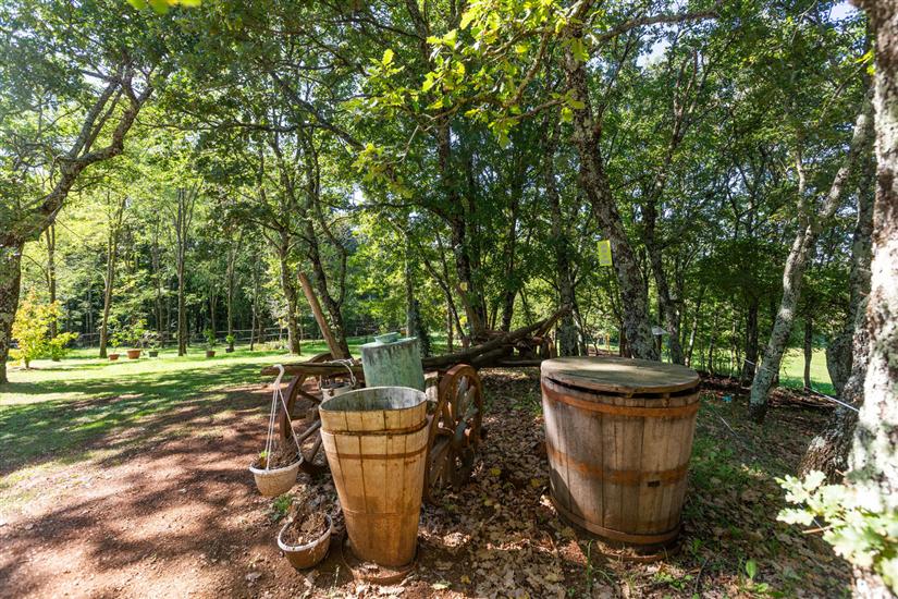 House Villa Cetiri Hrasta