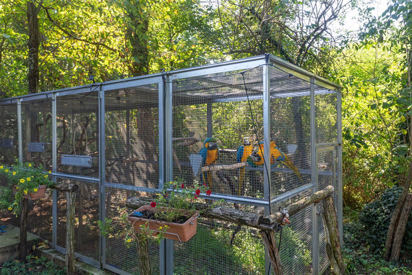 House Villa Cetiri Hrasta