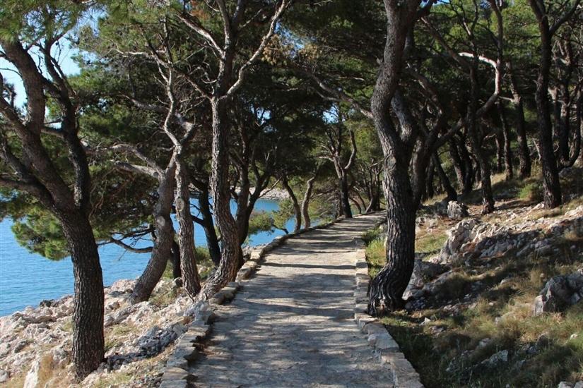 Apartment and Rooms Ive