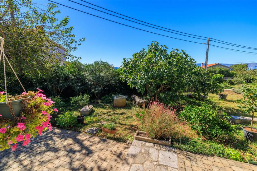 Apartments Insula Insule