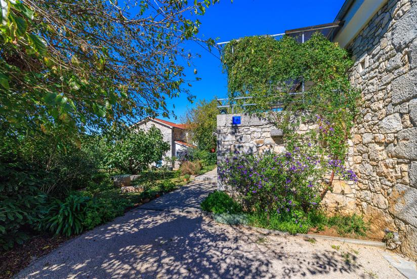 Apartments Insula Insule