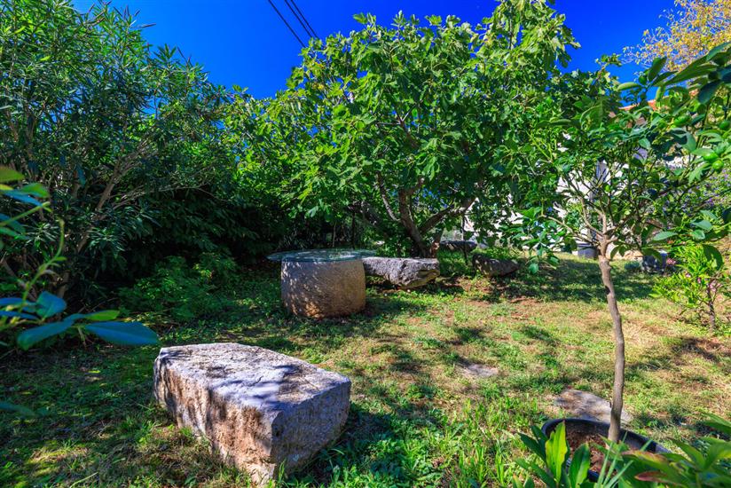 Apartments Insula Insule