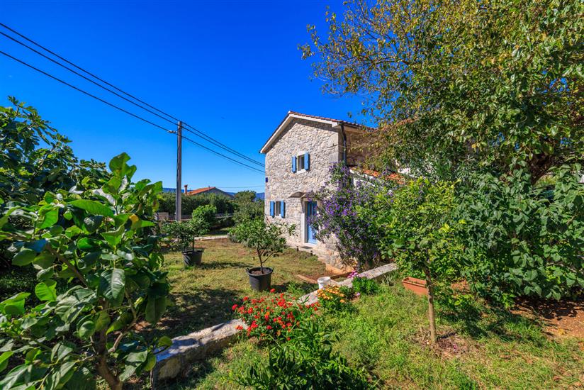 Apartments Insula Insule