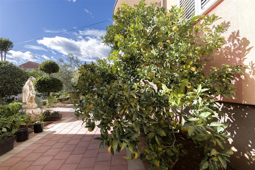 Apartment Massimo Brooklyn