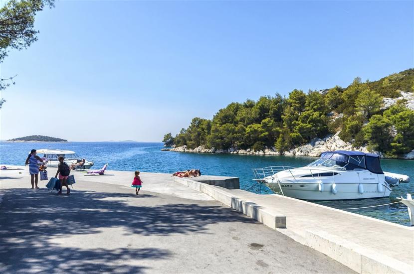 Apartment Massimo Brooklyn