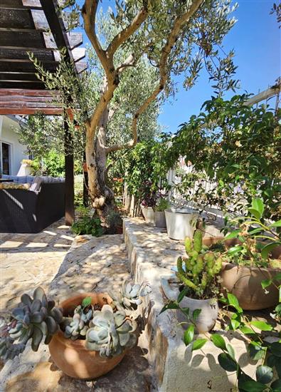 Appartements Marijana