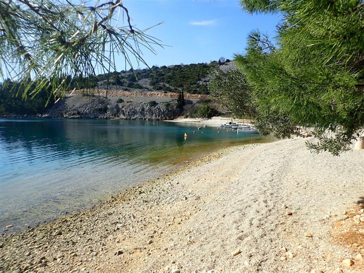 Апартаменты CVITKO