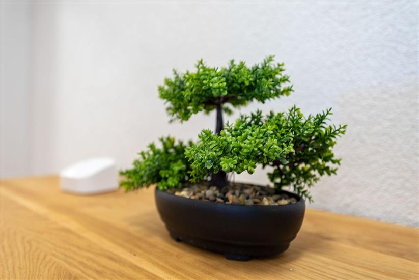 House K1, for 10 persons