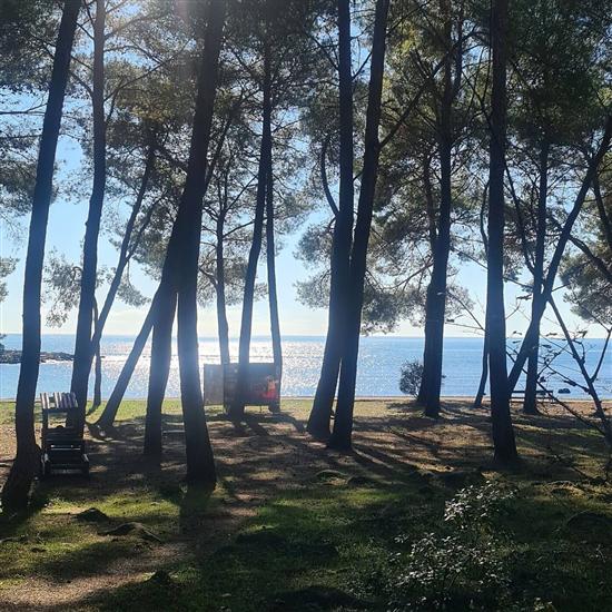 Apartments APARTMENTS IVO ROVINJ CROATIA