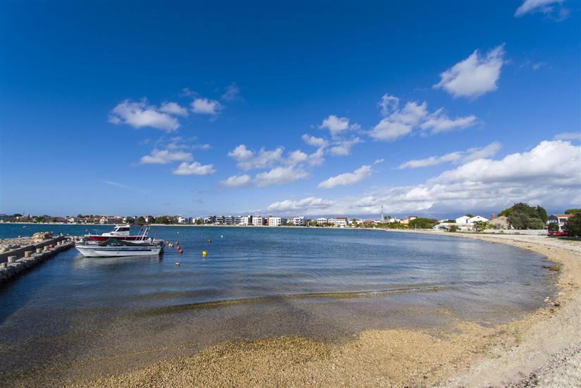 Villa Jelena Vir near beach