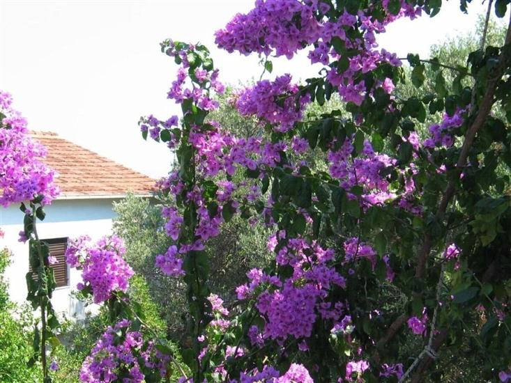 Apartment A1, for 3 persons