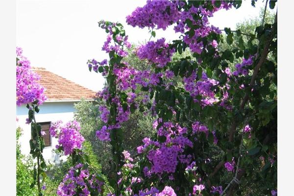 Apartment A1, for 3 persons