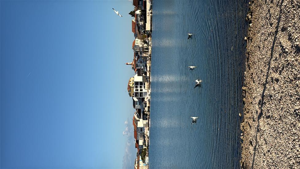 Apartman Villa Zlatna