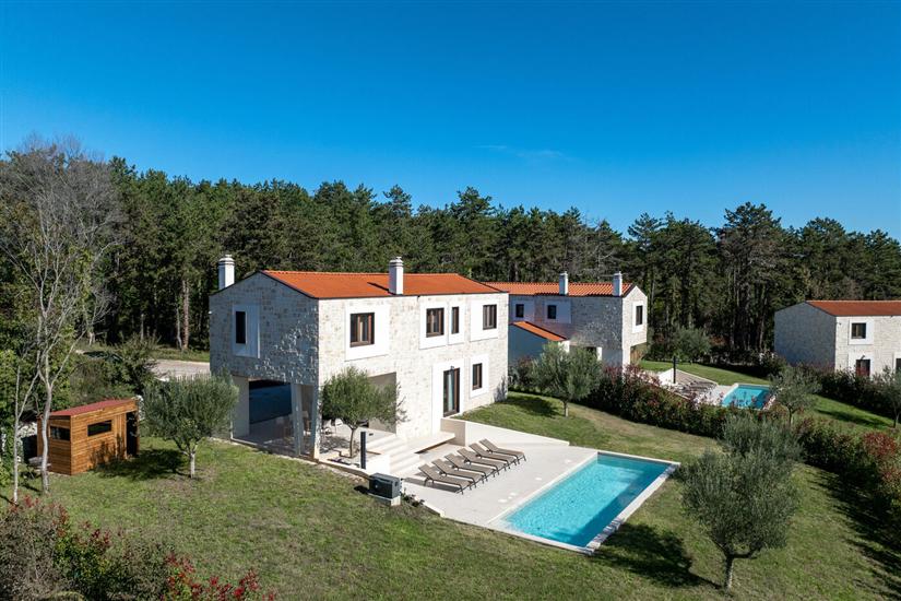 Villa Minerva s bazenom