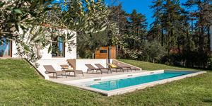 House - Visnjan (Porec)