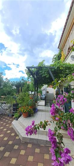 Apartmaj Vintage Dalmatia Stay
