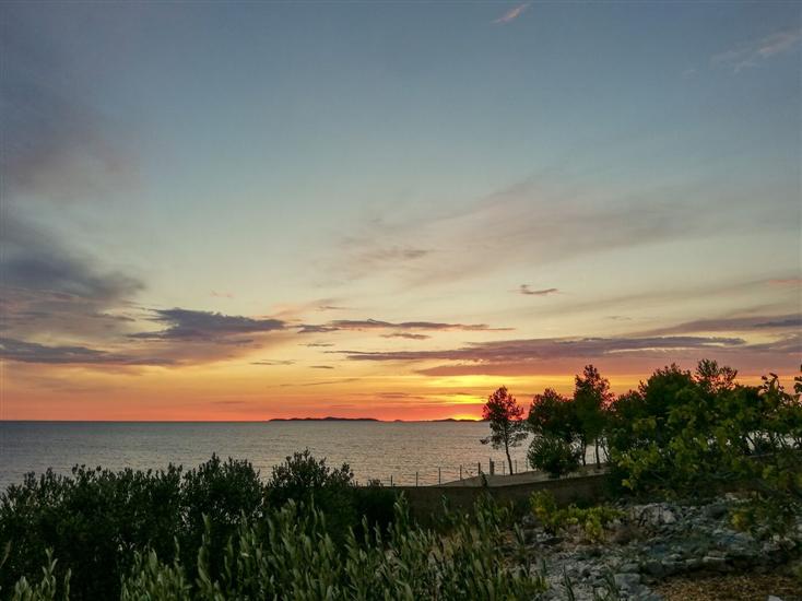 Hiša Robinson house