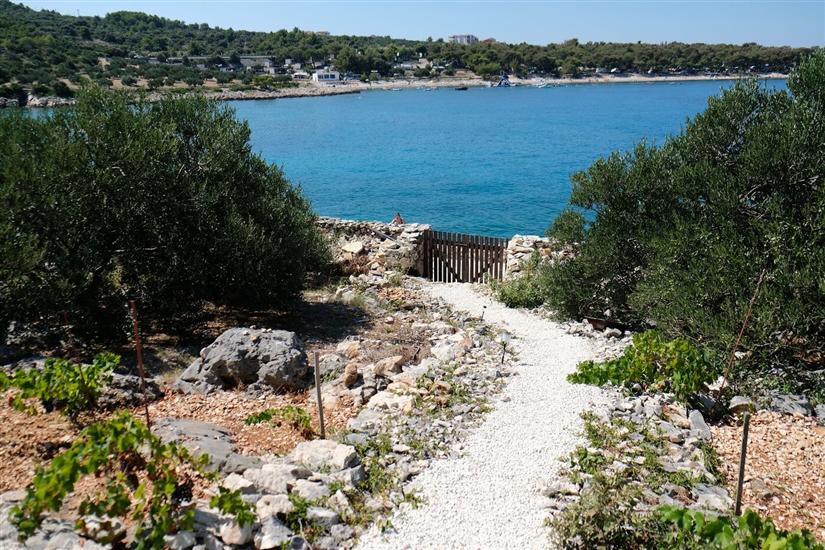 Hiša Robinson house