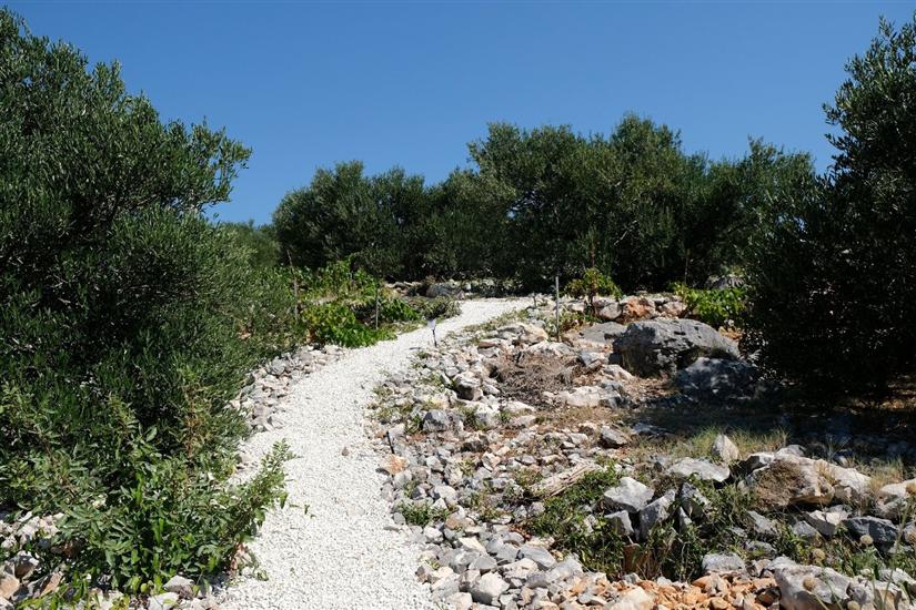 Hiša Robinson house