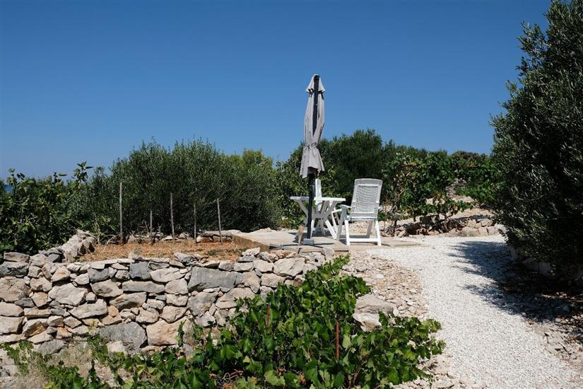 Hiša Robinson house