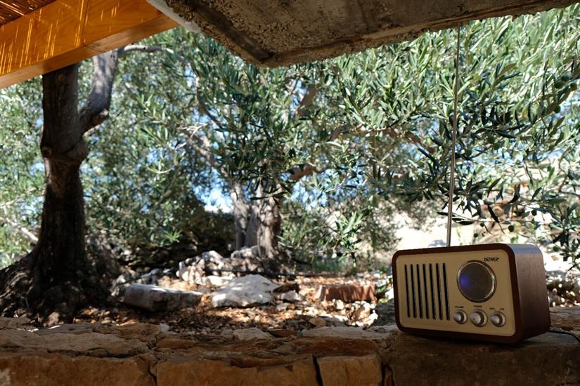 Hiša Robinson house