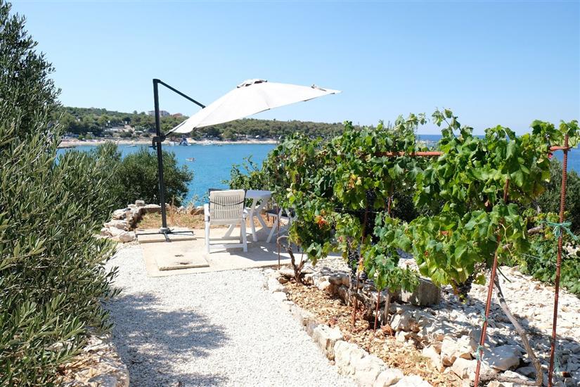 Hiša Robinson house