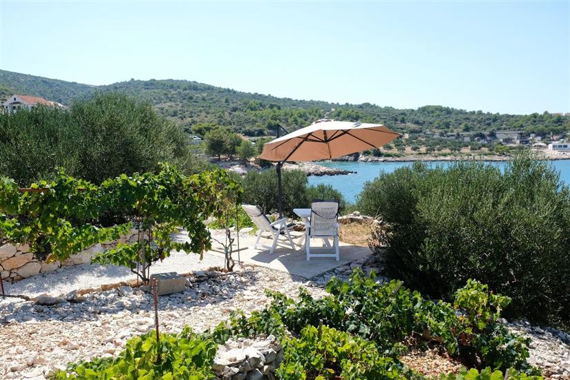 Hiša Robinson house