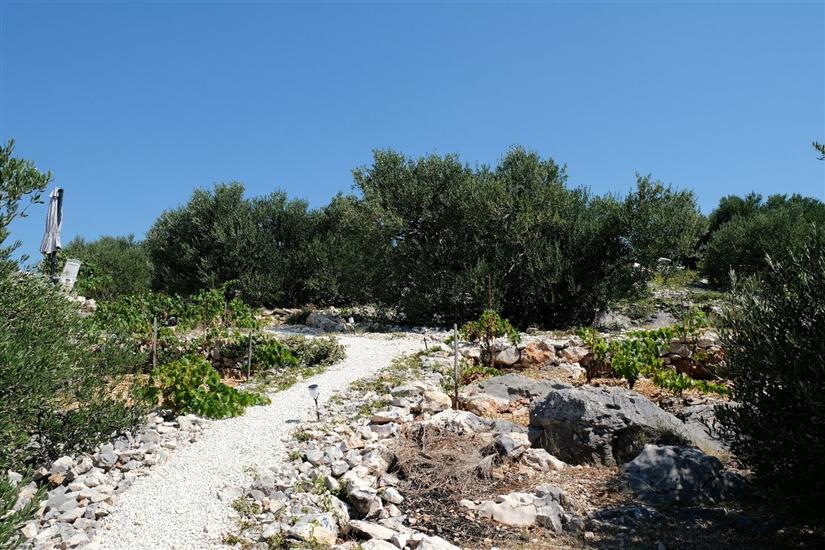 Hiša Robinson house