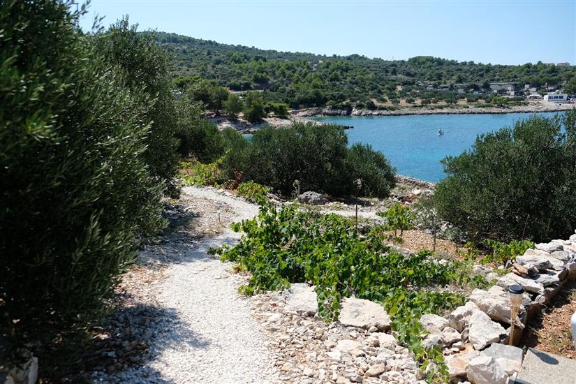 Hiša Robinson house