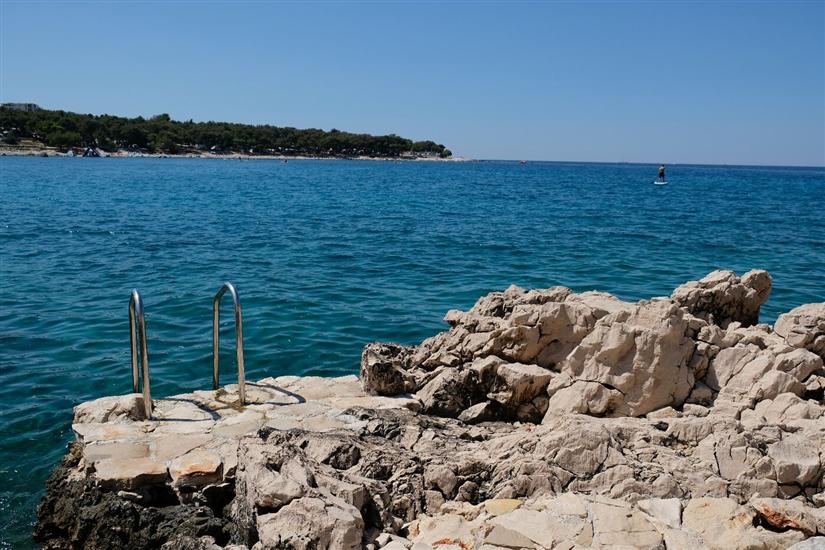 Hiša Robinson house