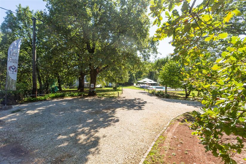 Apartmaji Cetri Hrasta