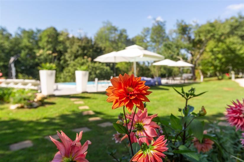 Apartments Cetri Hrasta