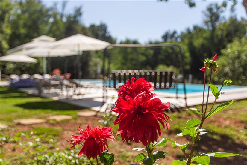 Apartmaji Cetri Hrasta