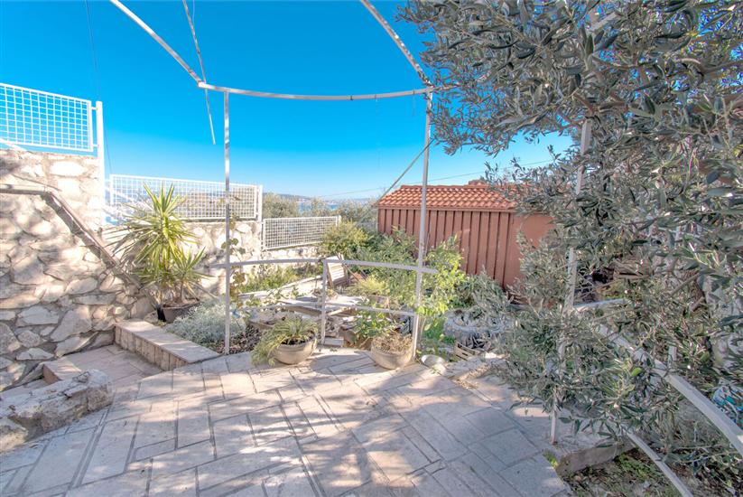 Apartmaj Orange tree