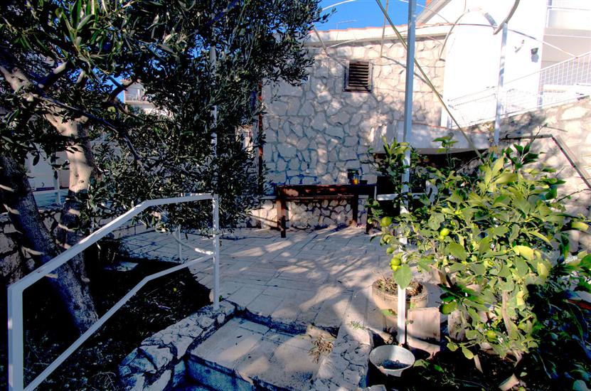 Apartmaj Orange tree