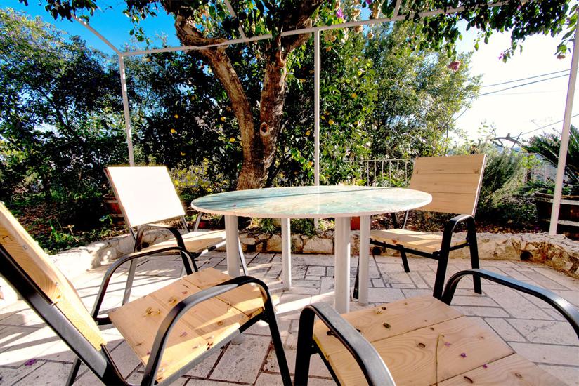 Apartmaj Orange tree