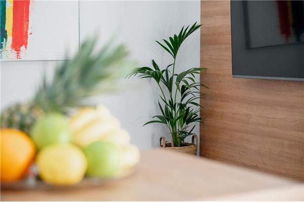 Apartman A1, na 2 osebe