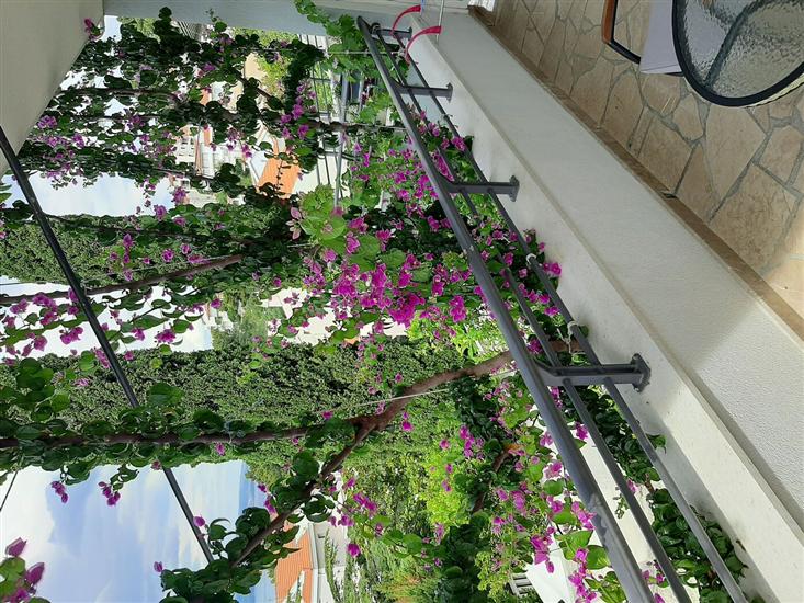 Apartment A4, for 3 persons