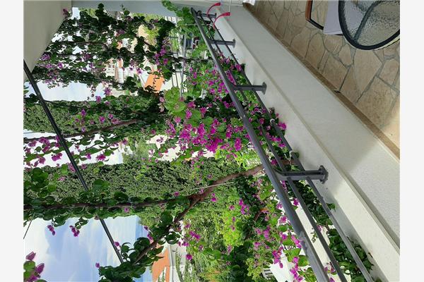 Apartment A4, for 3 persons