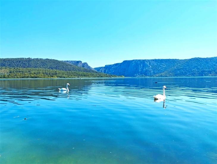 Hiša Villa Zvonko Near NP Krka