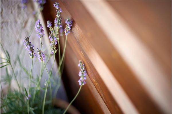 Apartment A2, for 2 persons